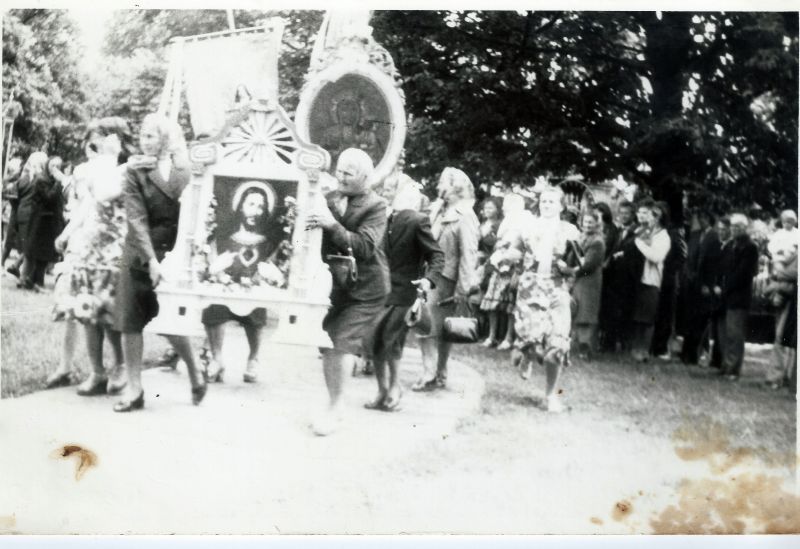 Scan50