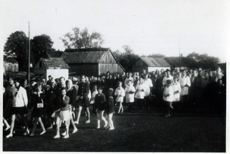 jpg7