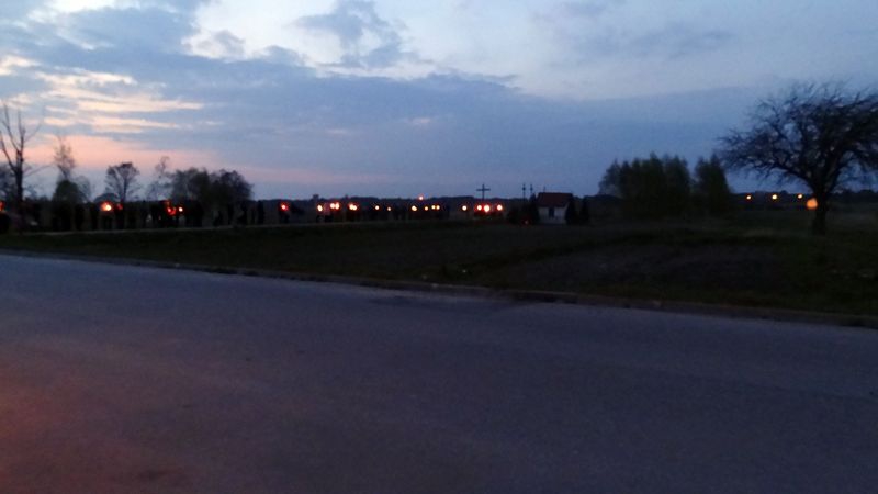DSC01342
