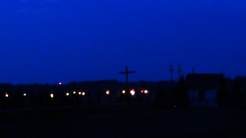 DSC01346