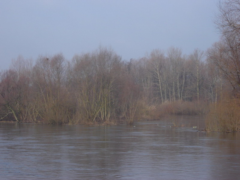 70